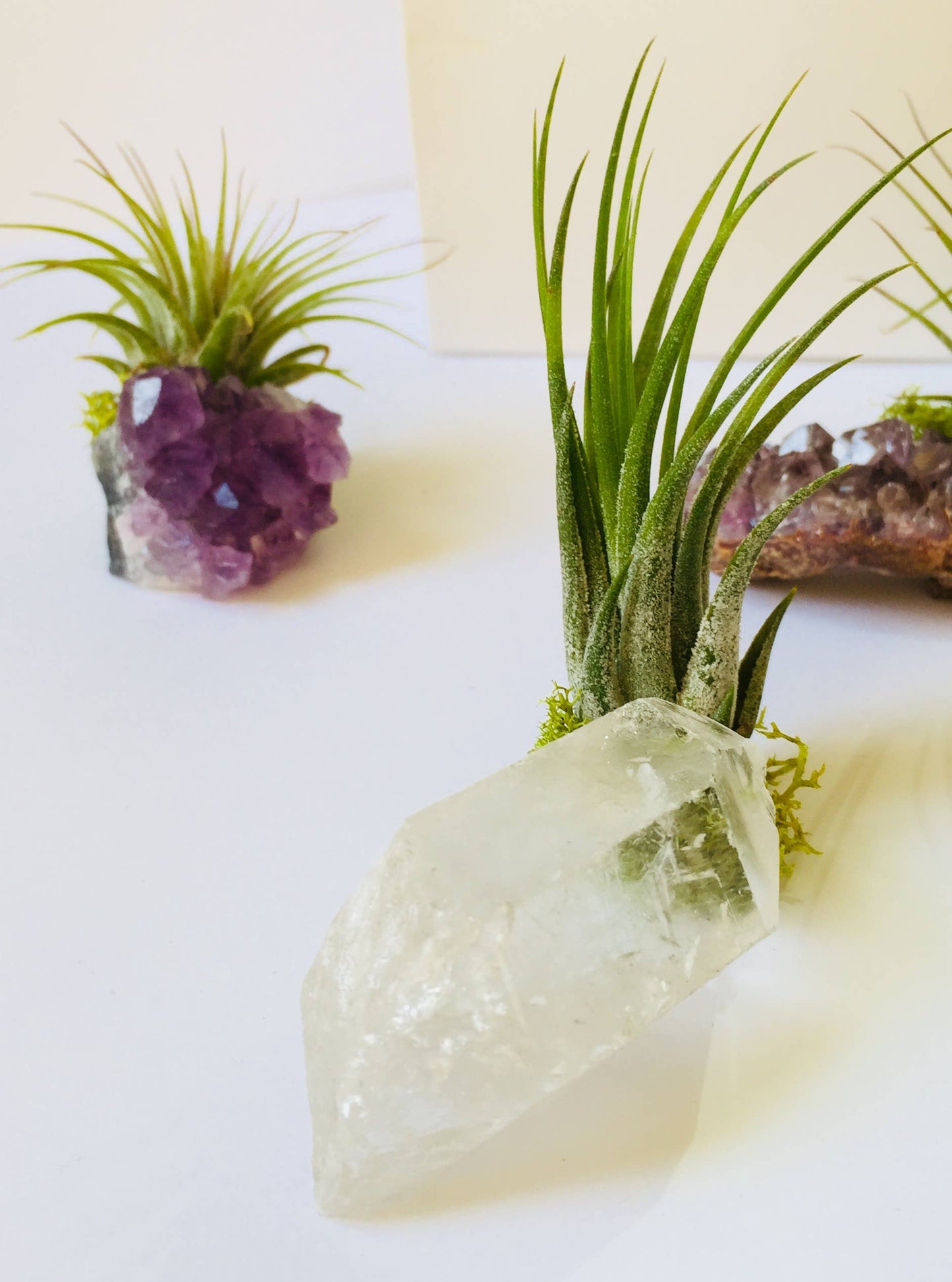 Crystal Air Plants l Air Plant Holder l Crystal Gift: Rose Quartz