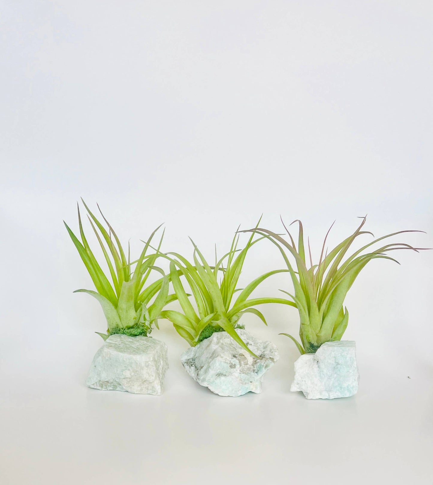 Crystal Air Plants l Air Plant Holder l Crystal Gift: Rose Quartz