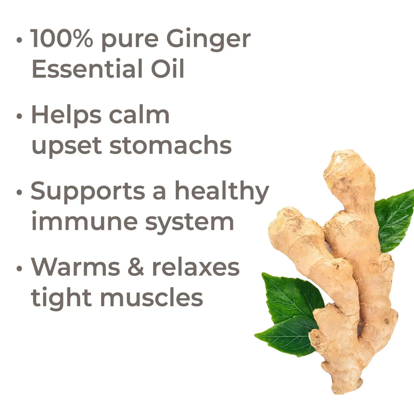 Ginger Essential Oil 10 mL