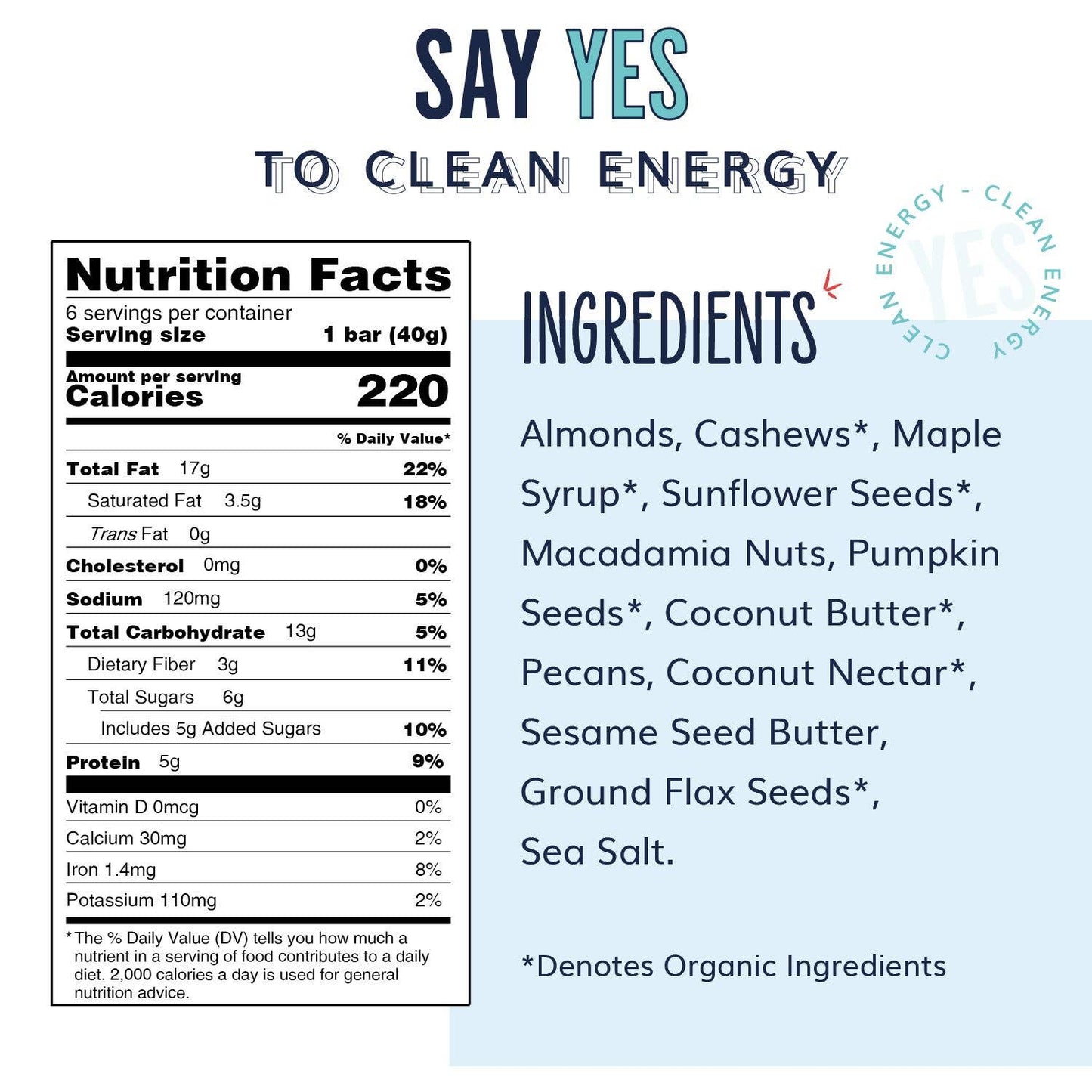 Salted Maple Pecan - Gourmet Plant-Based Snack Bar