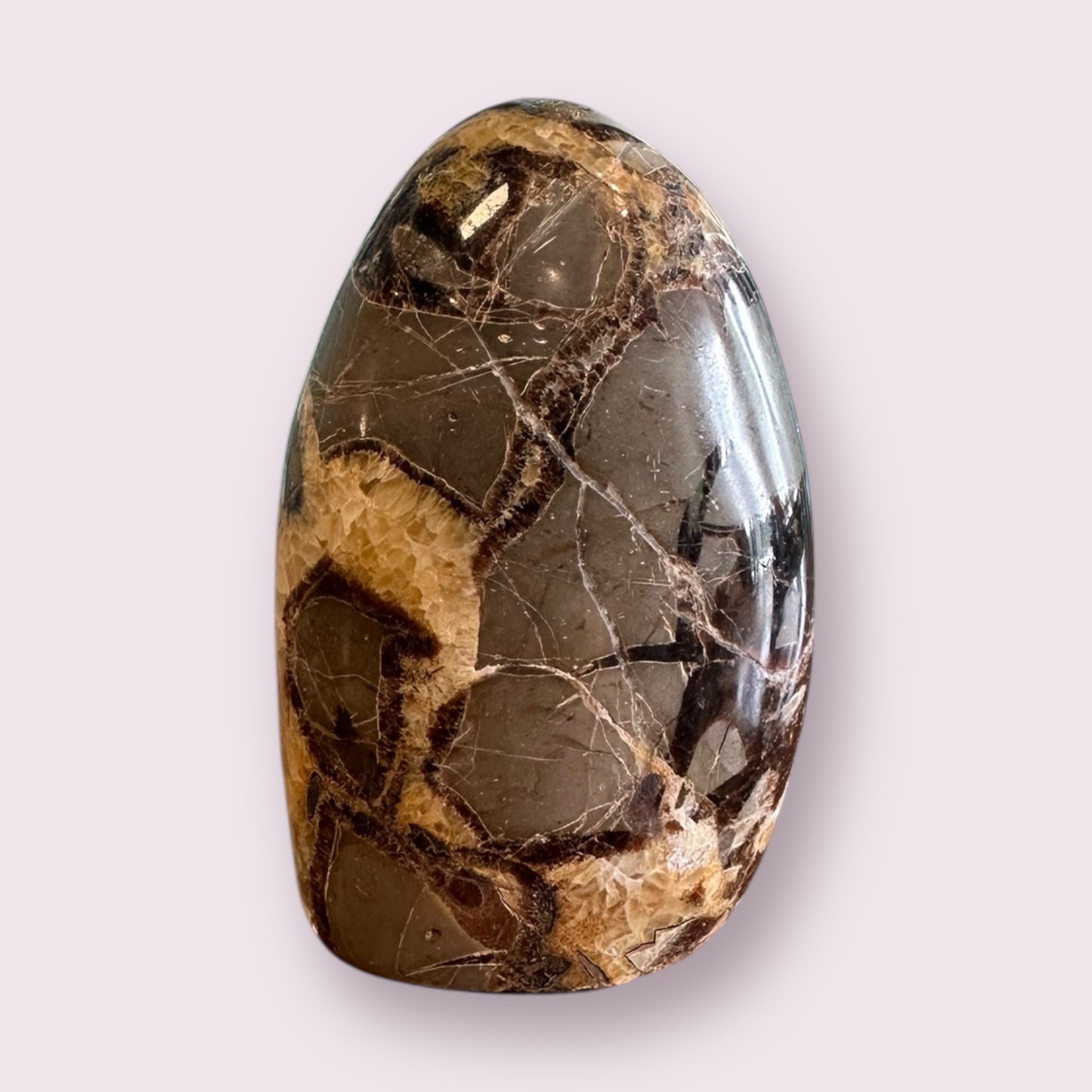 Septarian (dragon Stone) Freeform Statue