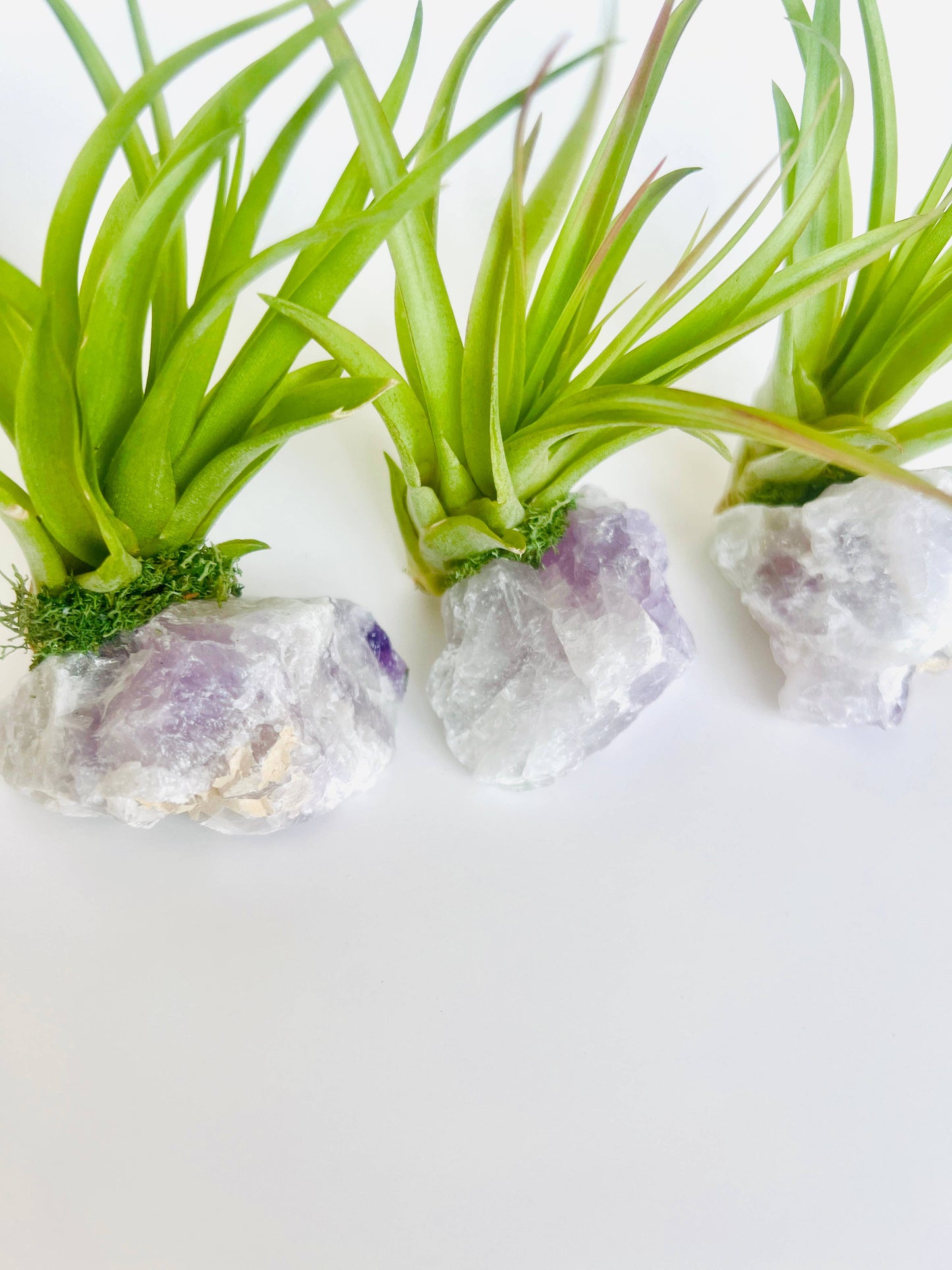 Crystal Air Plants l Air Plant Holder l Crystal Gift: Rose Quartz