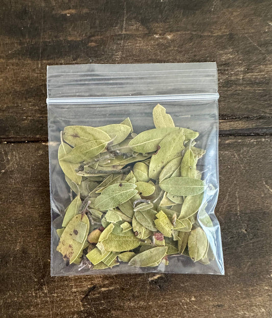 Uva Ursi: 1oz