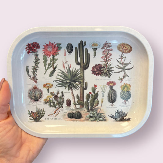 Small Metal Cactus Ritual Tray / Vintage Cacti Print