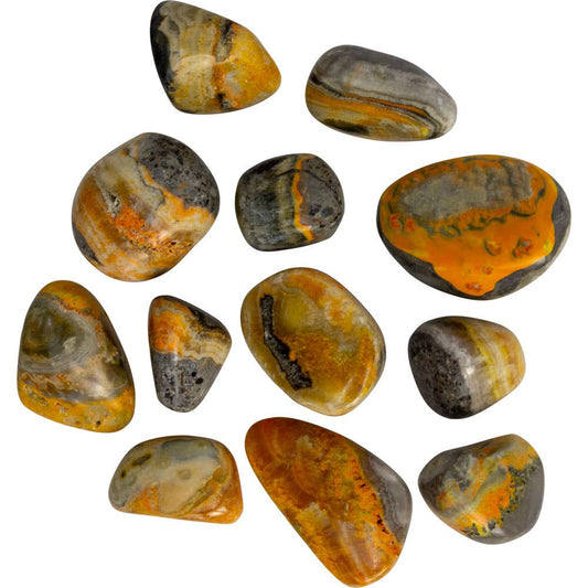 Bumble Bee Jasper Tumbled Stones