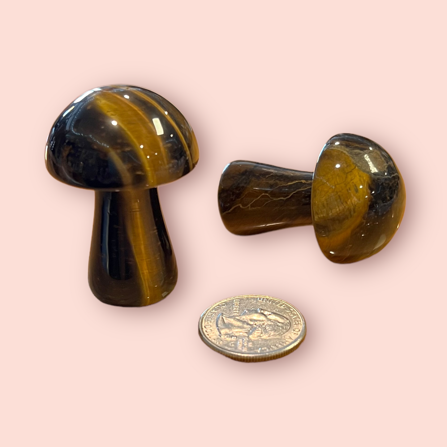 Tigers Eye Magic Mushroom 50mm
