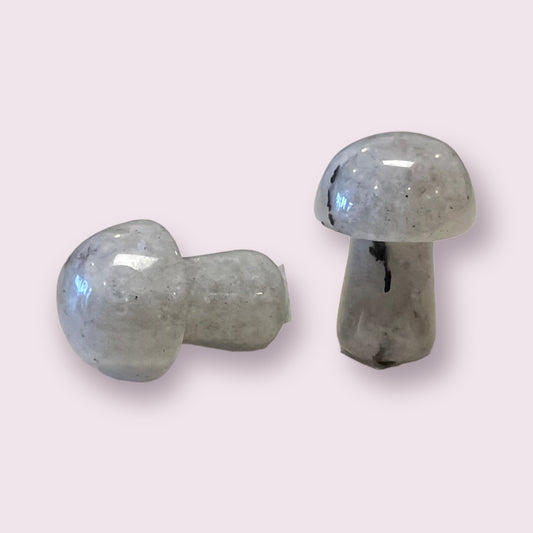 Labradorite Mushroom