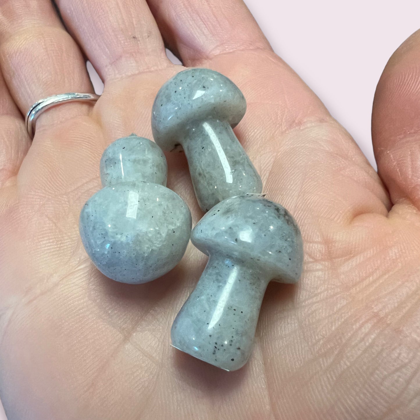 Labradorite Mushroom
