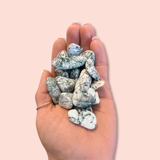 Tree Agate Tumbled Stones