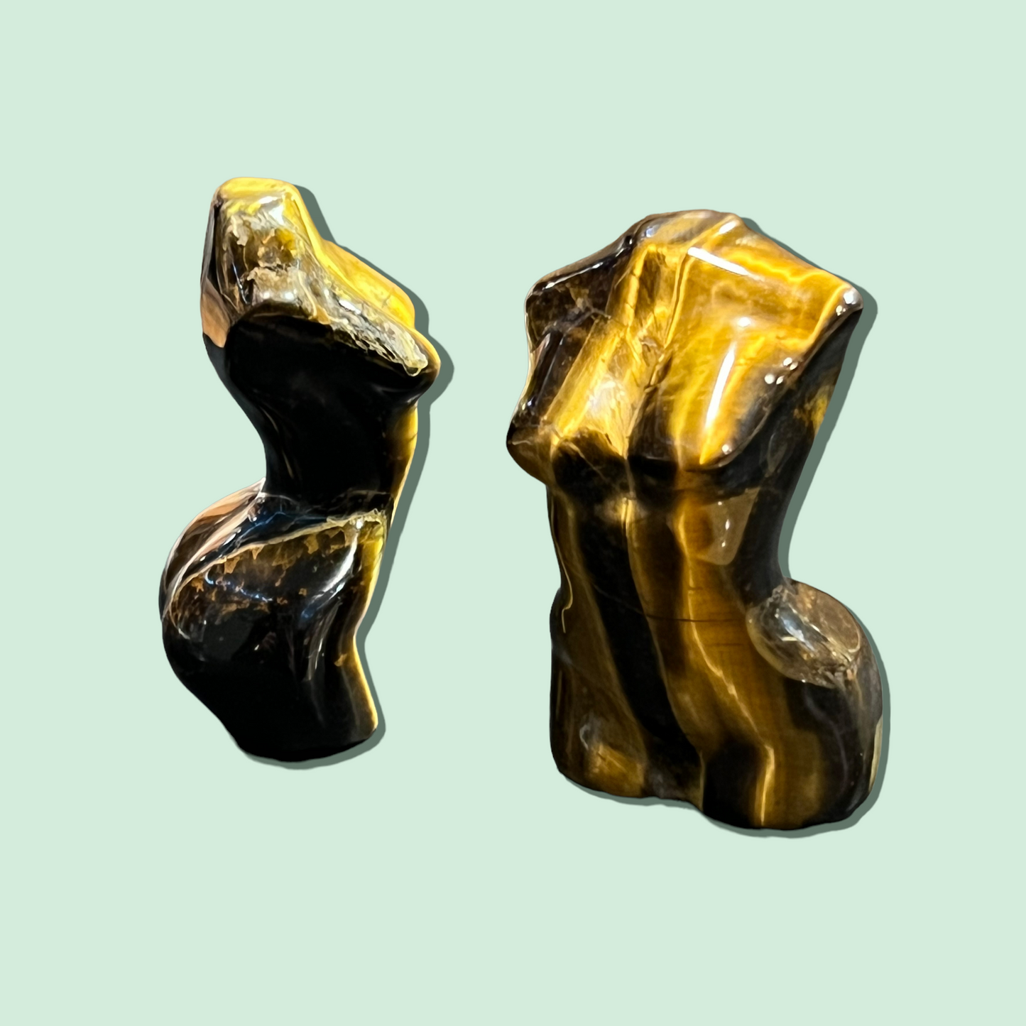 Tiger Eye Female Form