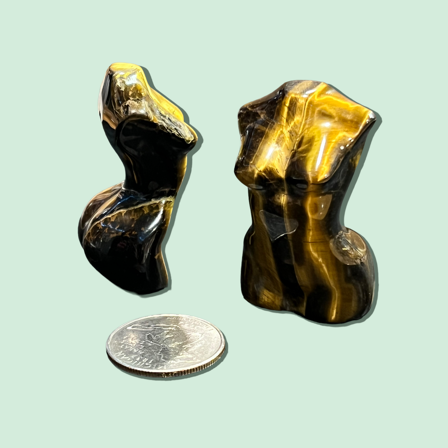 Tiger Eye Female Form