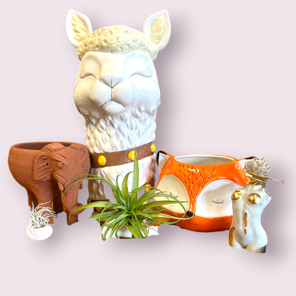 Plants & Planters