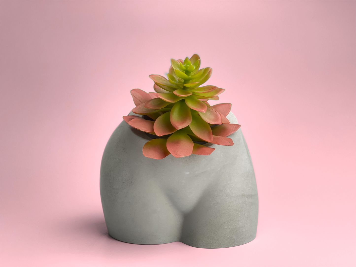 Butt Planter, Woman Booty Pot, Boob Body Planter Female Vase