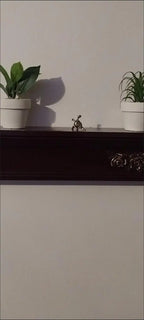 Kung Fu Turtle Incense Holder Bronze/Copper Unique Piece: Bronze