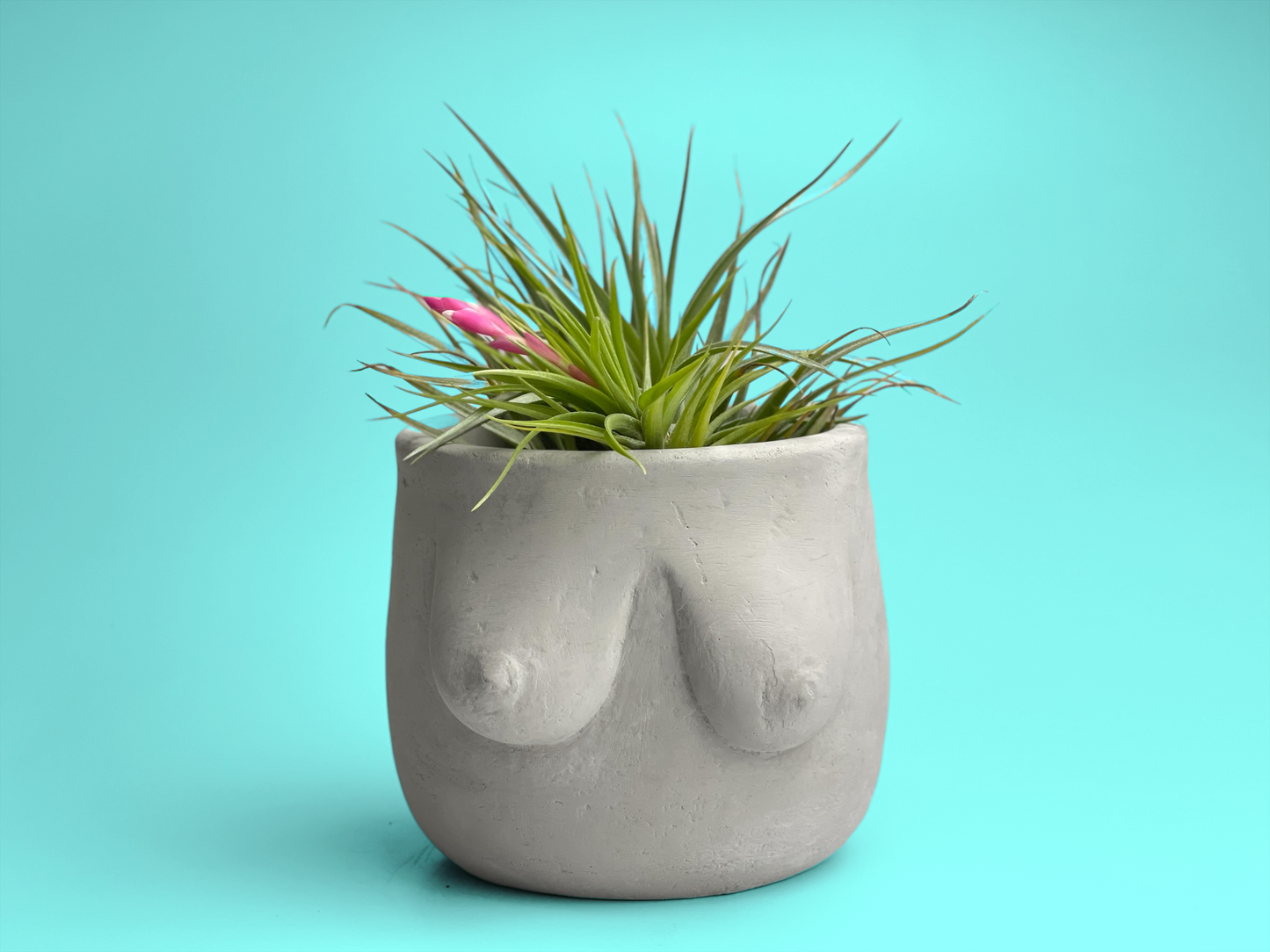 Boobs Planter, Woman Body Pot, Female Torso Decor, Breast