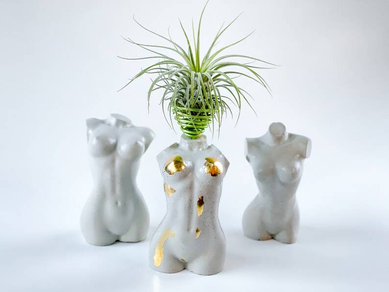 Woman Body Unique Air Plant Holder | Sculpture Torso