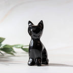 Black Obsidian Cat