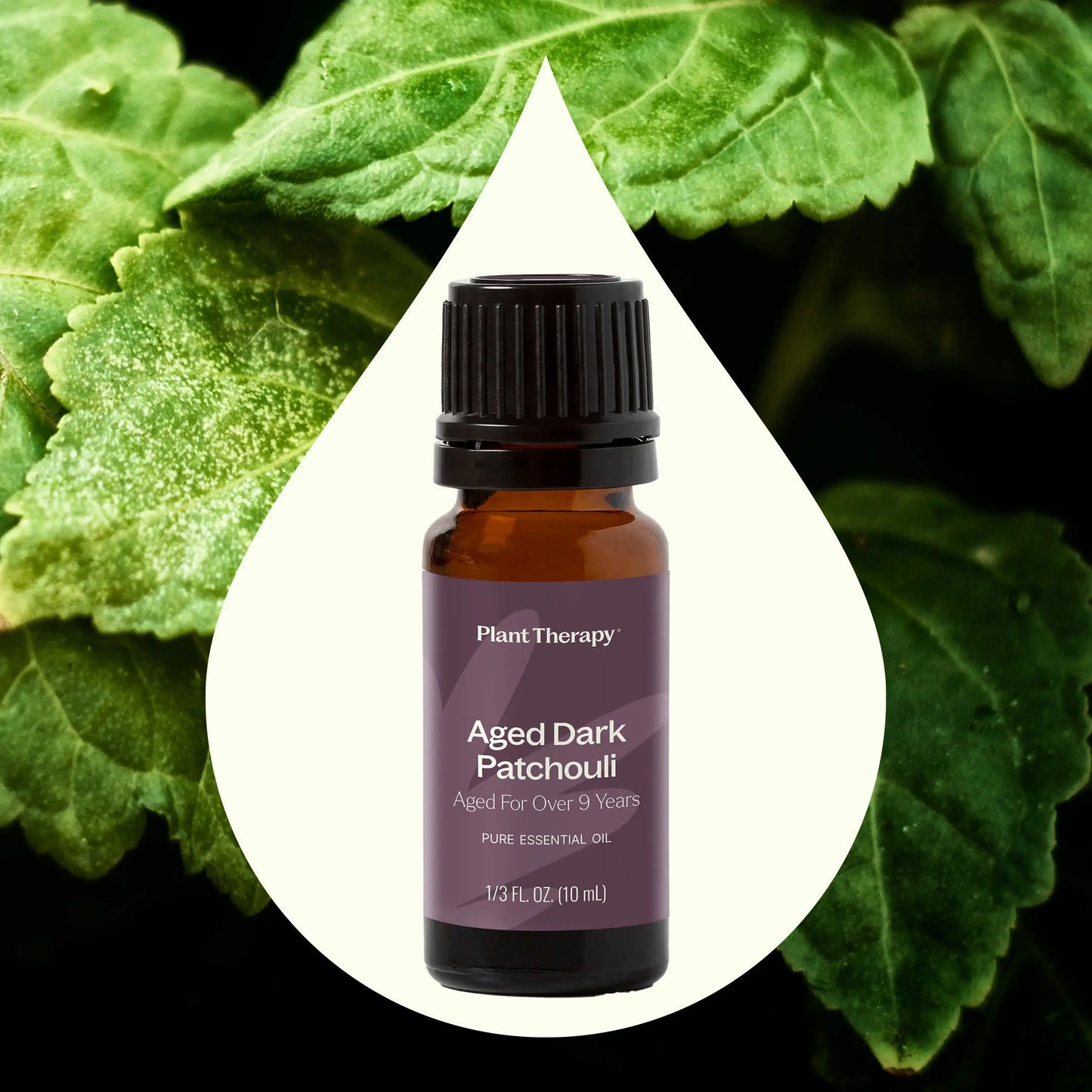Aged Dark Patchouli Essential Oil 10 mL