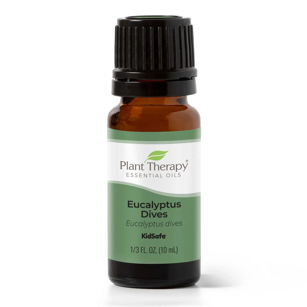 Eucalyptus Dives Essential Oil 10 mL