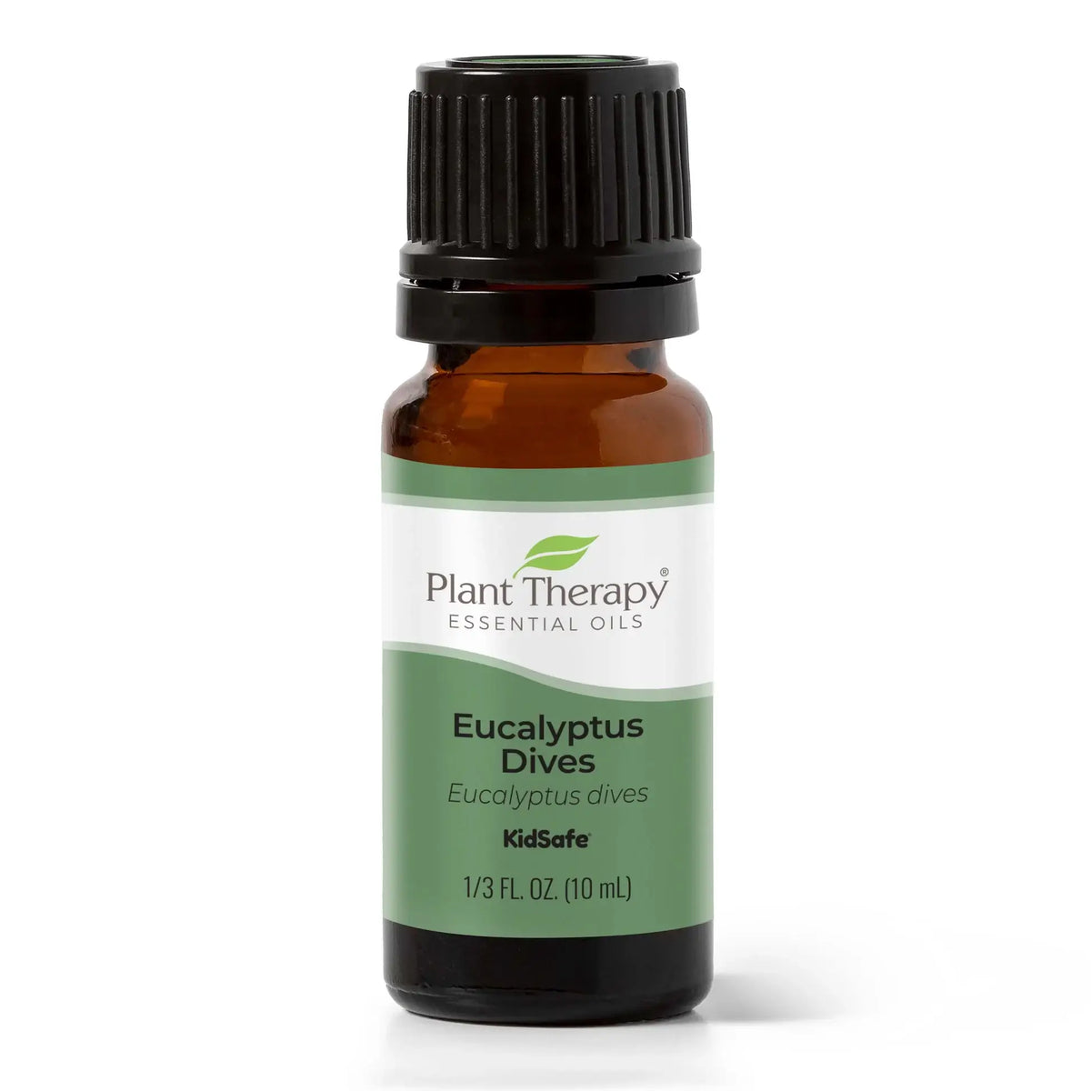 Eucalyptus Dives Essential Oil 10 mL