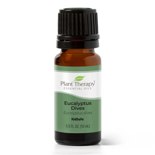 Eucalyptus Dives Essential Oil 10 mL