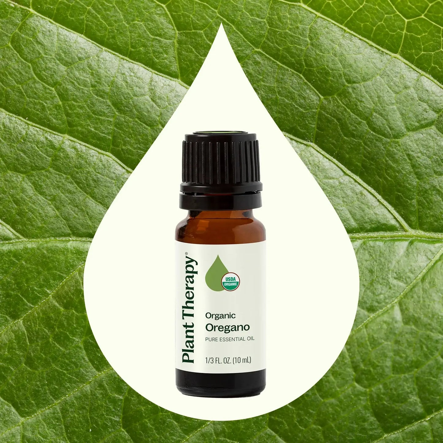 Organic Oregano Essential Oil 10mL