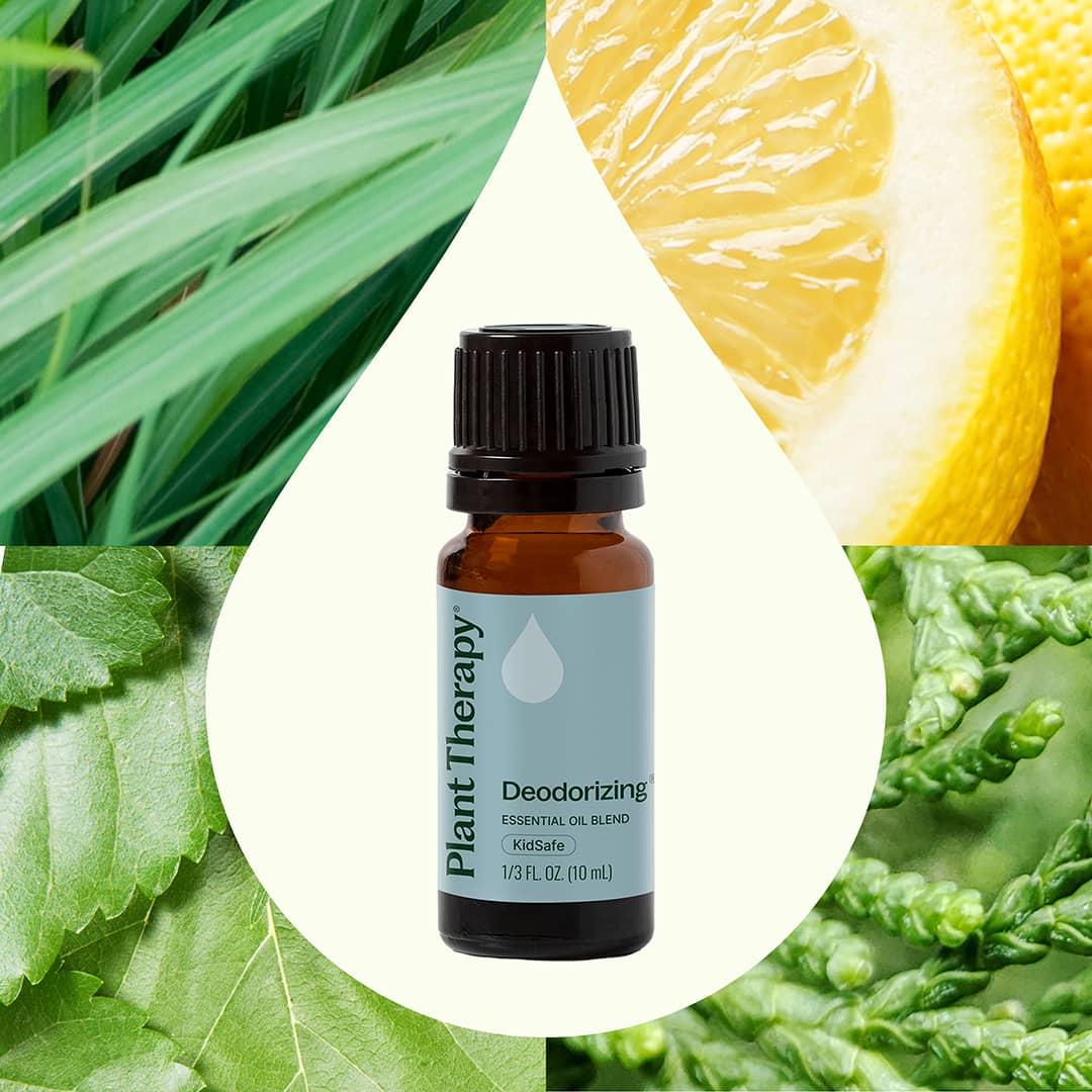 Deodorizing Essential Oil Blend 10 mL