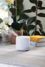 White Directional Ultra Sonic Diffuser