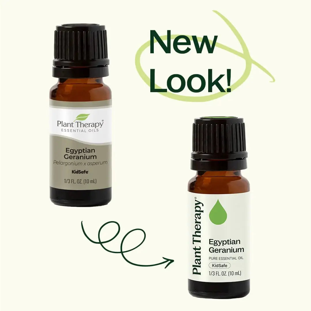 Egyptian Geranium Essential Oil 10 mL