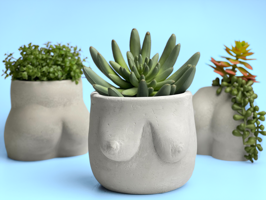 Boobs Planter, Woman Body Pot, Female Torso Decor, Breast