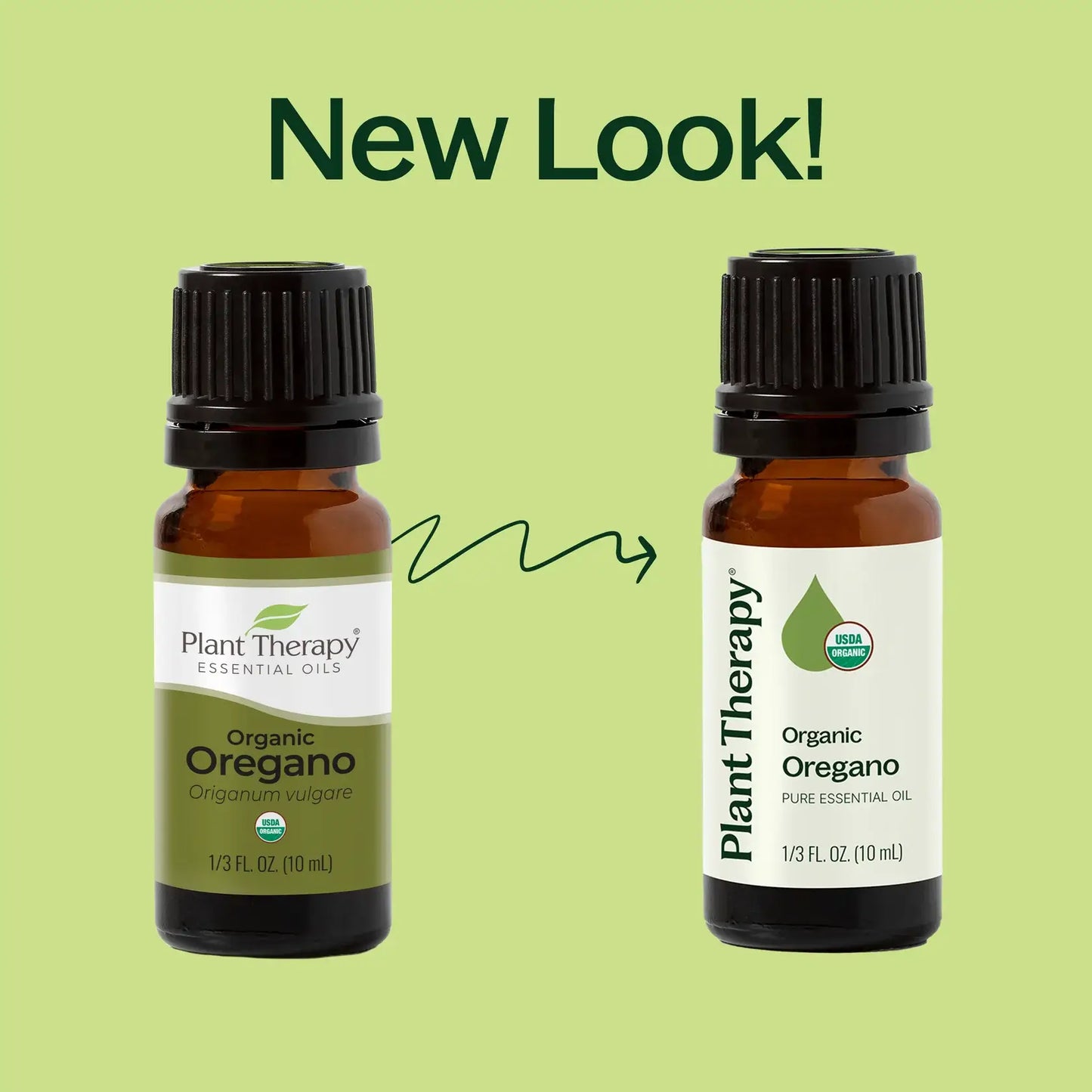 Organic Oregano Essential Oil 10mL