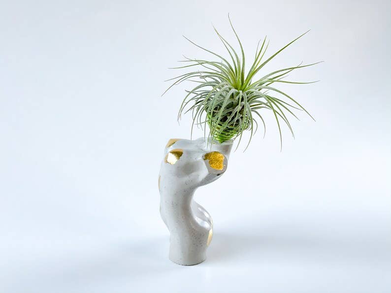 Woman Body Unique Air Plant Holder | Sculpture Torso