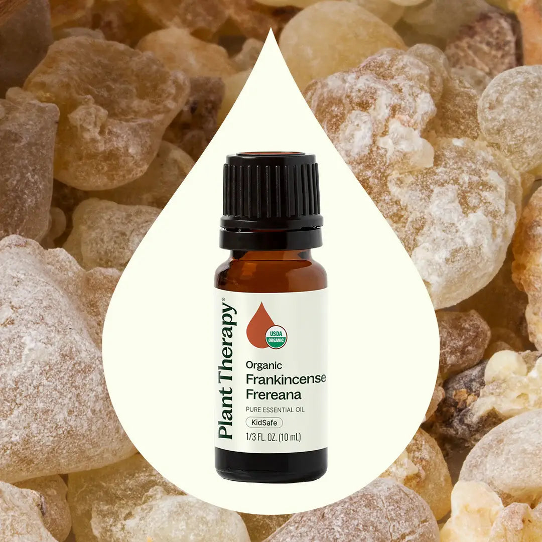 Organic Frankincense Frereana Essential Oil 10 mL