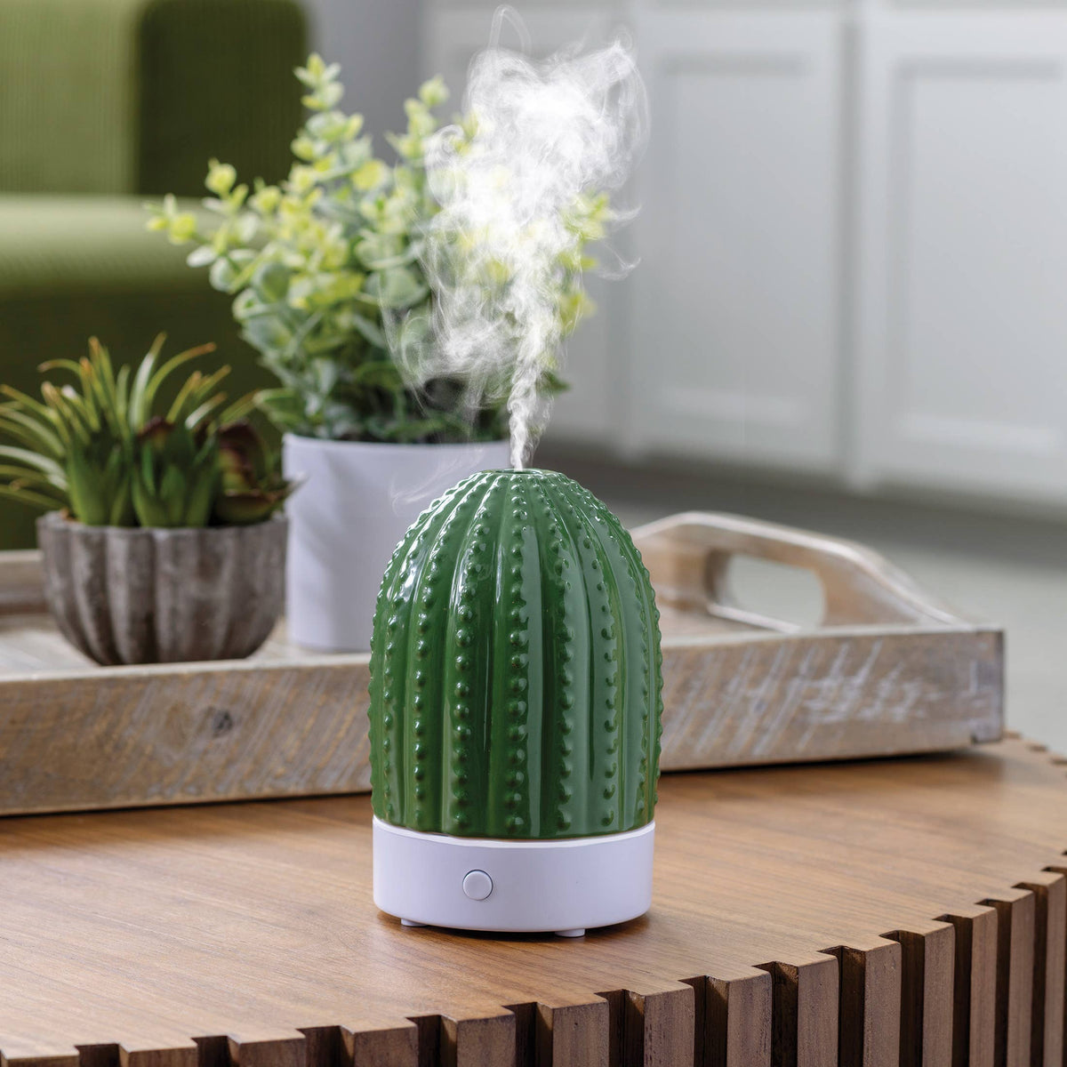 Cactus USB Ultrasonic Diffuser