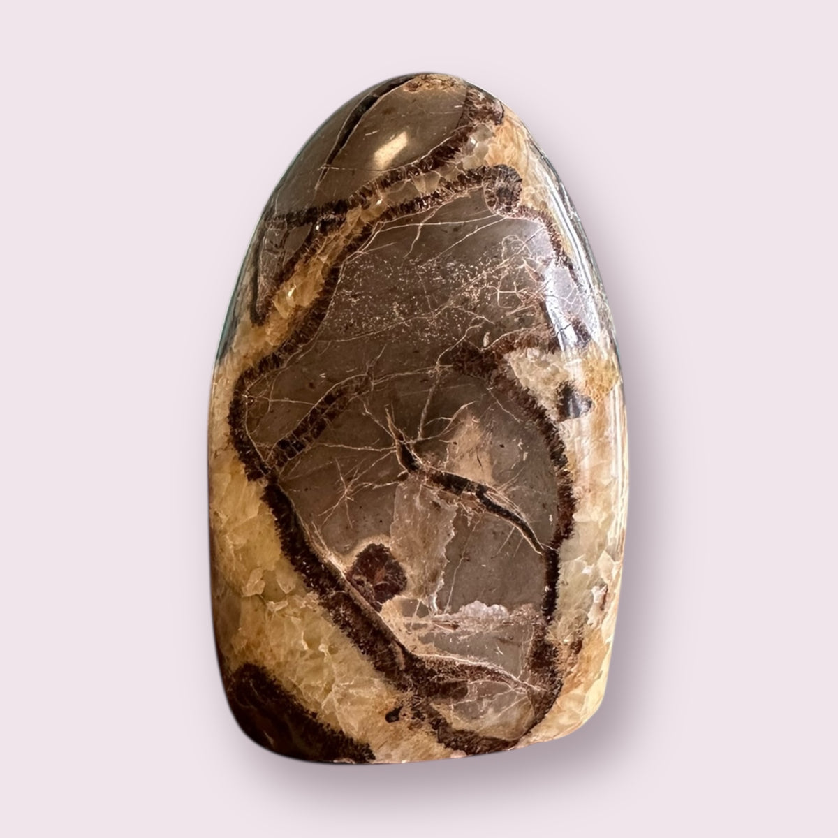 Septarian (dragon Stone) Freeform Statue