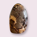 Septarian (dragon Stone) Freeform Statue