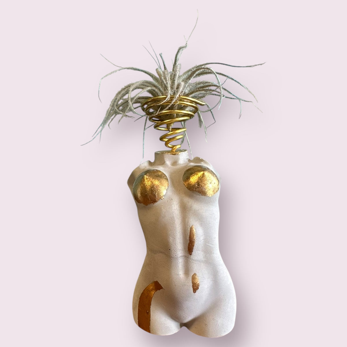 Woman Body Unique Air Plant Holder | Sculpture Torso