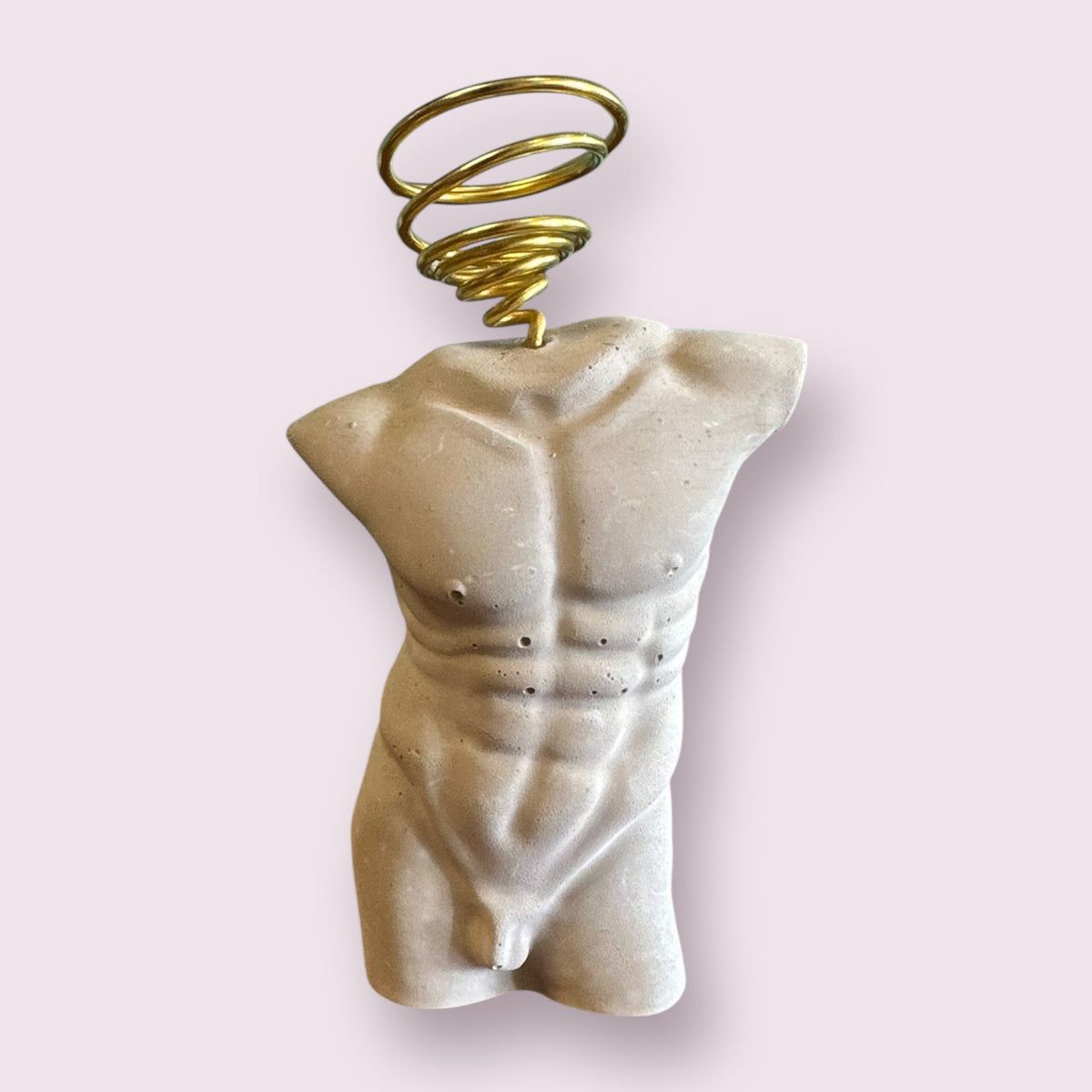 Man Body Unique Air Plant Holder | Male Torso