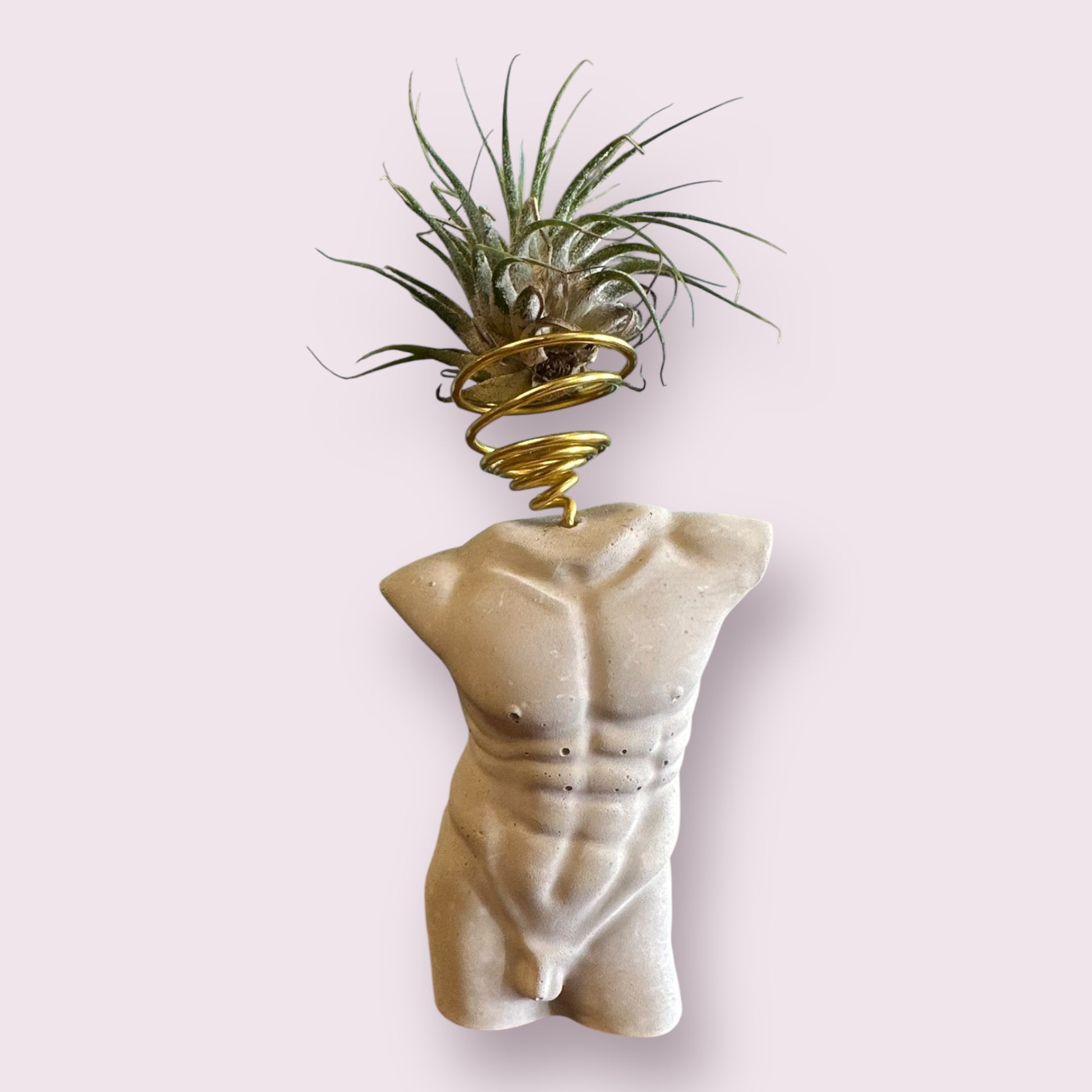air plant man Man Body Unique Air Plant Holder