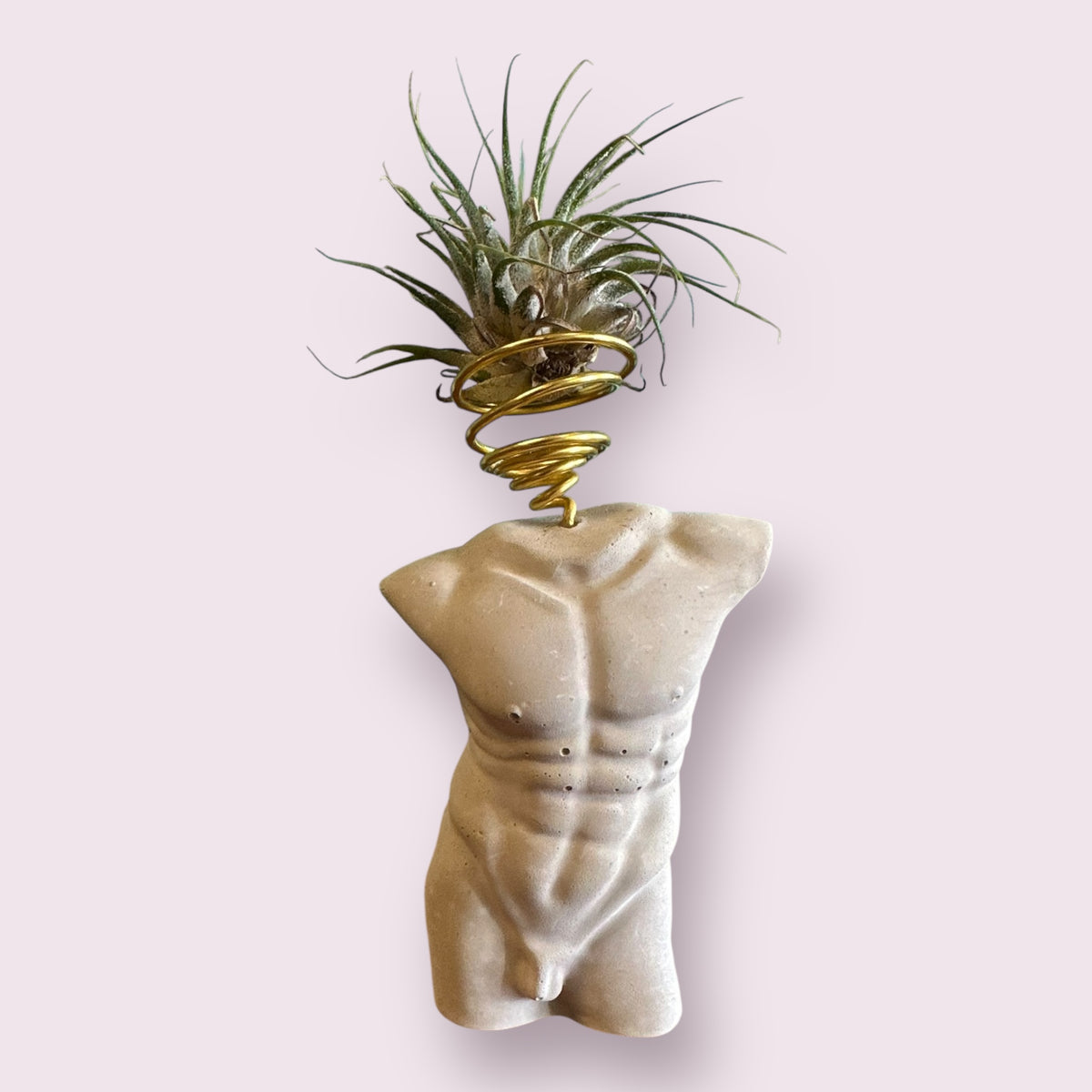 Man Body Unique Air Plant Holder | Male Torso