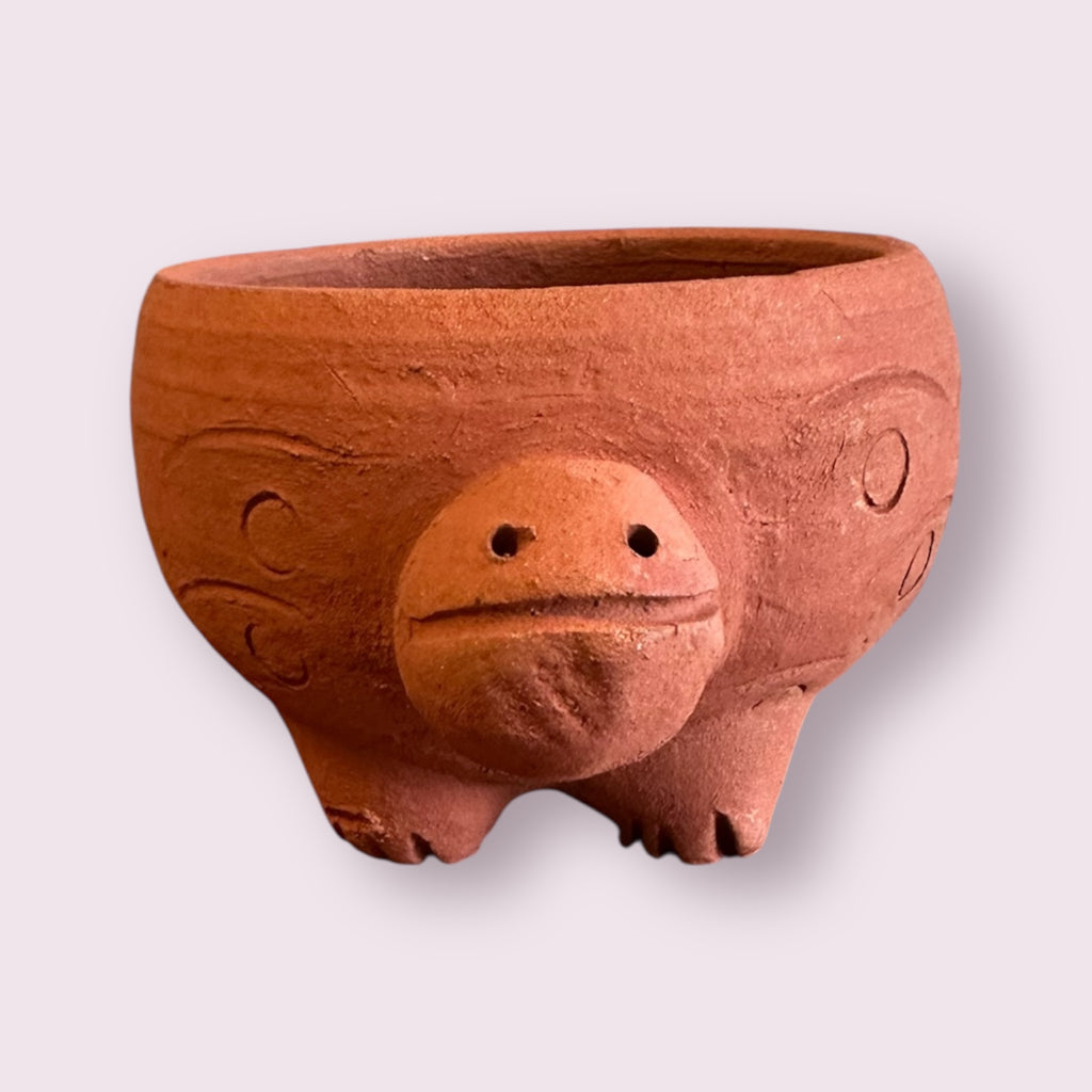 Rakshana Plant Pals - Turtle (Large)