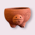 Rakshana Plant Pals - Turtle (Large)