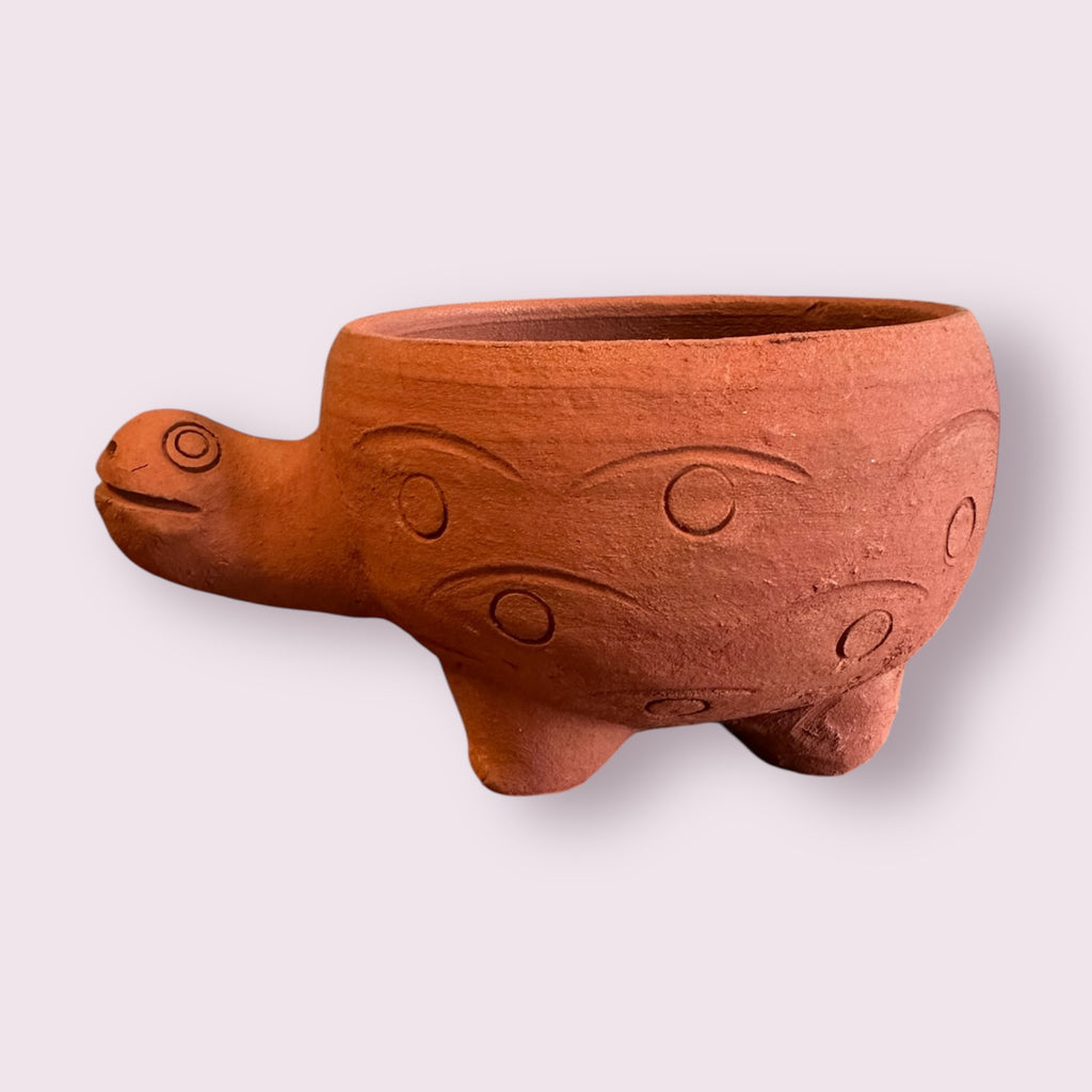 Rakshana Plant Pals - Turtle (Large)