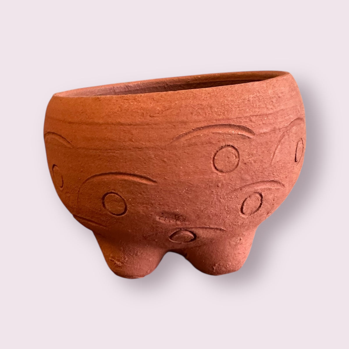 Rakshana Plant Pals - Turtle (Large)