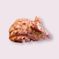 Spirit Animal 1.25-inch Hedgehog Dolomite