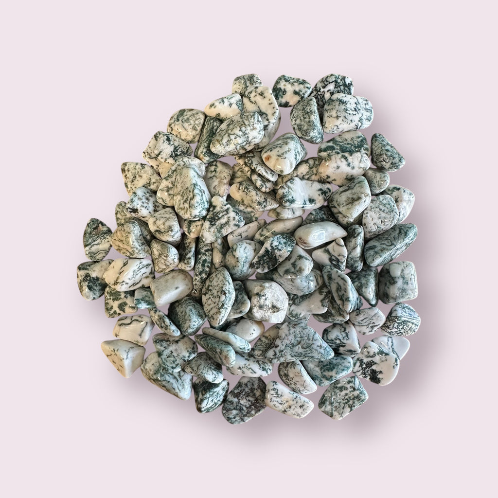 Tree Agate Tumbled Stones
