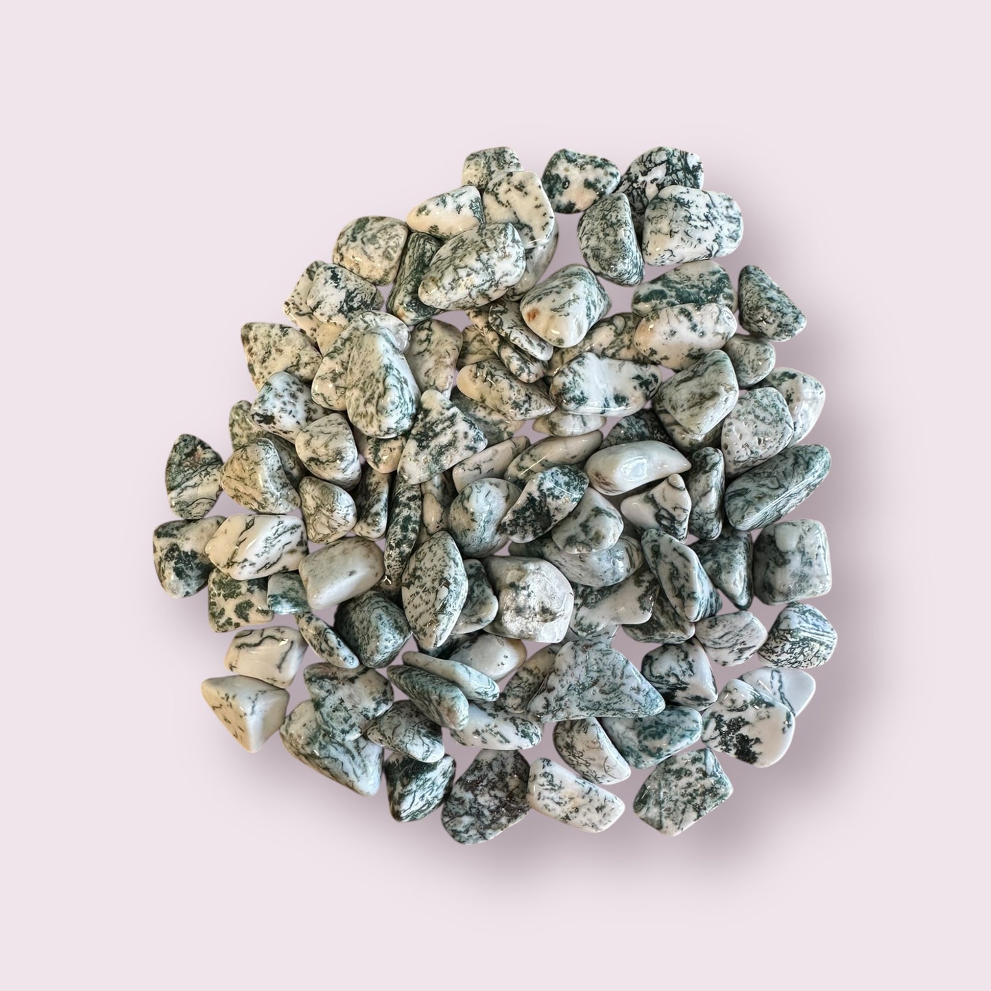 Tree Agate Tumbled Stones