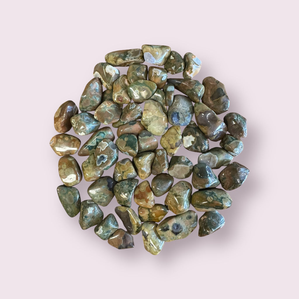 Rhyolite Jasper Tumbled