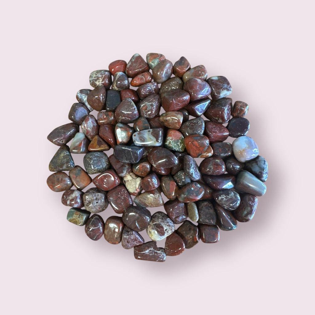 Red Petrified Wood