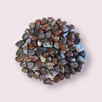 Red Petrified Wood